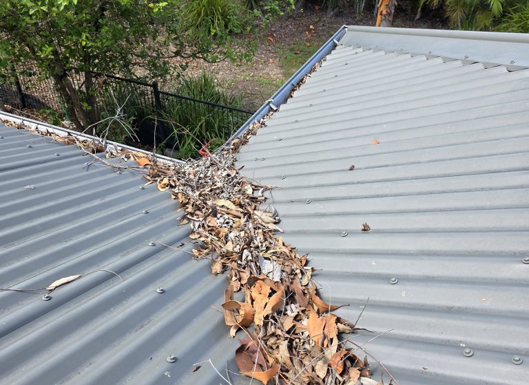 Gutter filled with leaves on a metal roof, before a gutter clean