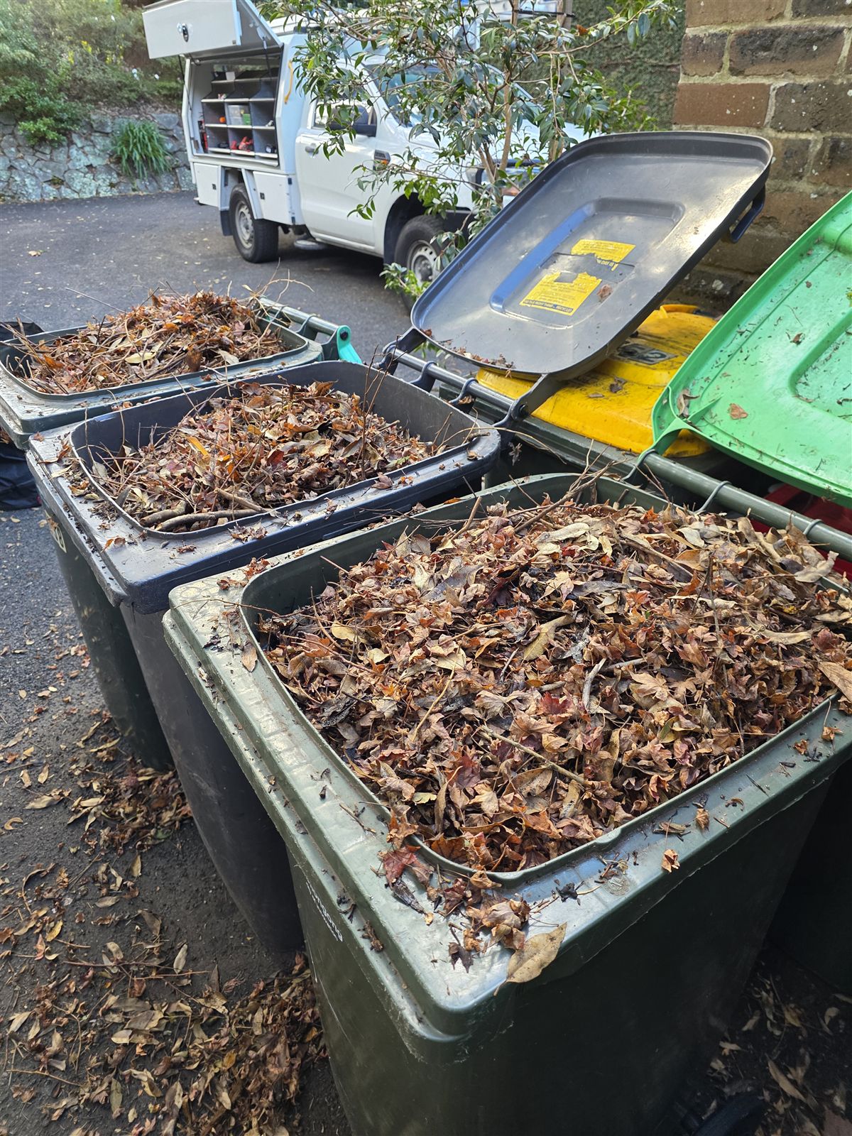 Three wheelie bins of autumn leaves cleared from one roof, the build-up gutter guard prevents