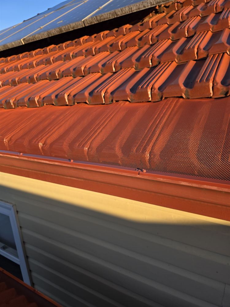 Close-up of colour-matched mesh gutter guard under terracotta roof tiles
