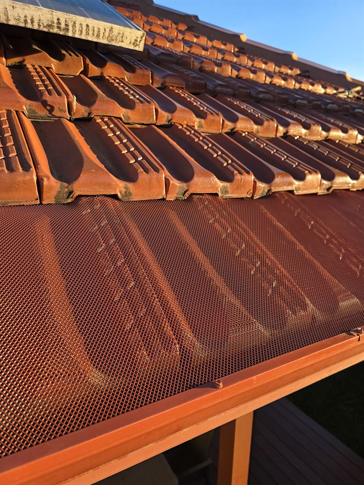 Colour-matched aluminium gutter guard on a terracotta tile roof