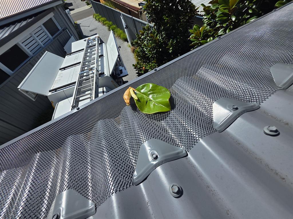 Leaf resting on new aluminium gutter guard, with the IMG ute and ladders below