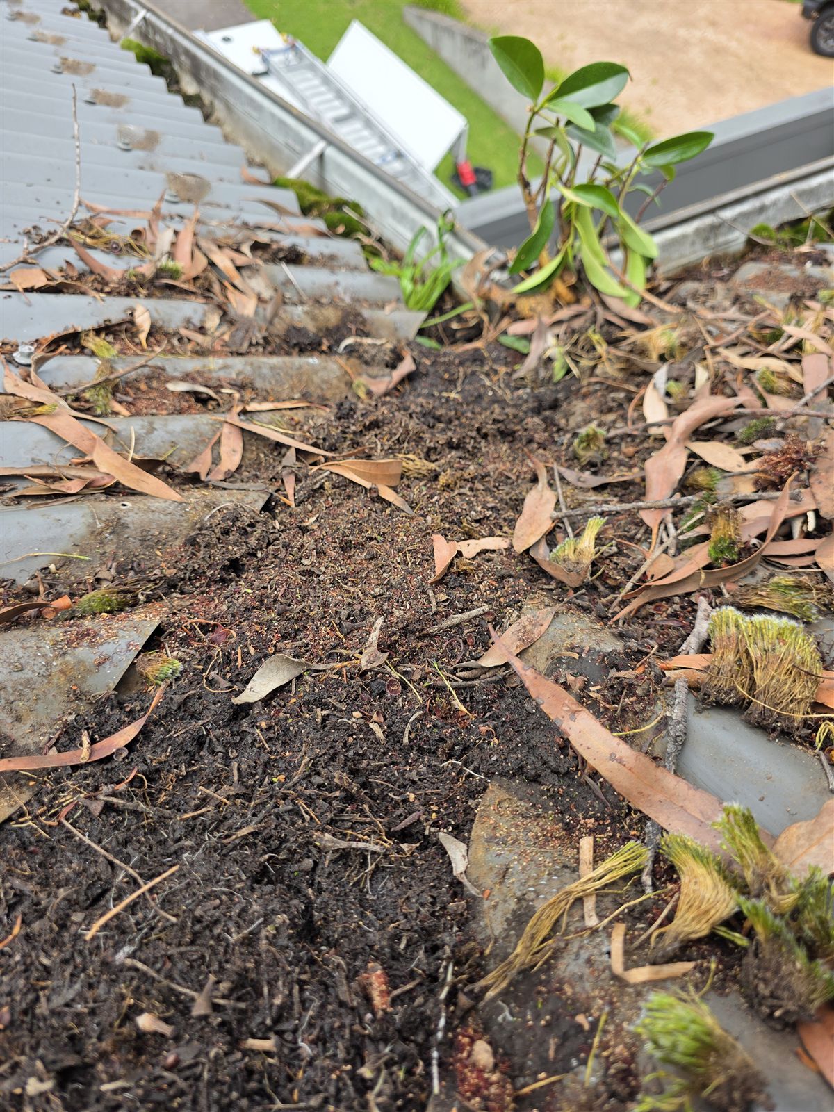 Roof valley full of composted leaf litter, before gutter guard