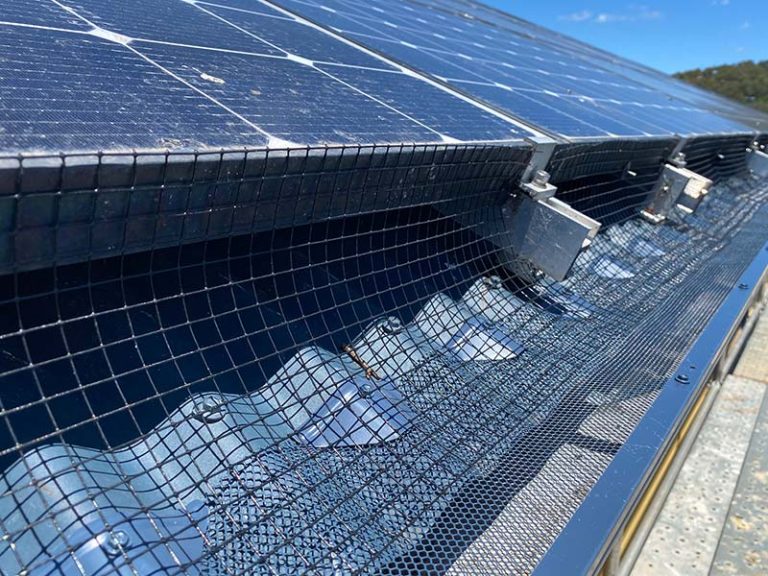 Solar panels with Karben bird mesh fitted around the edge of the array