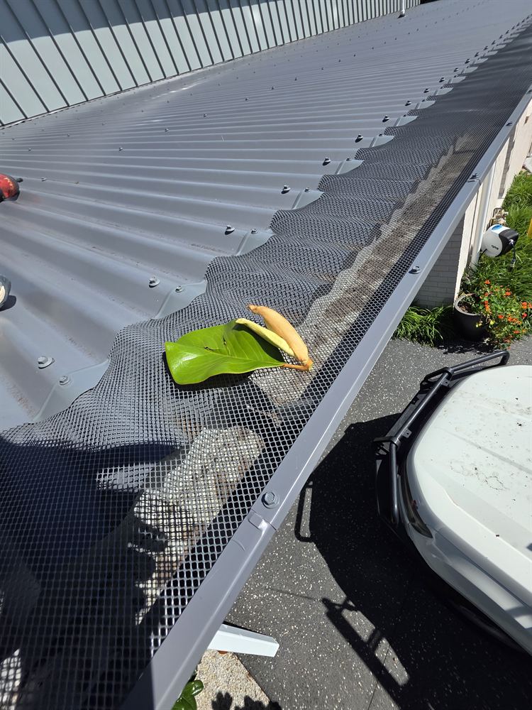 Leaf sitting on newly fitted aluminium gutter guard