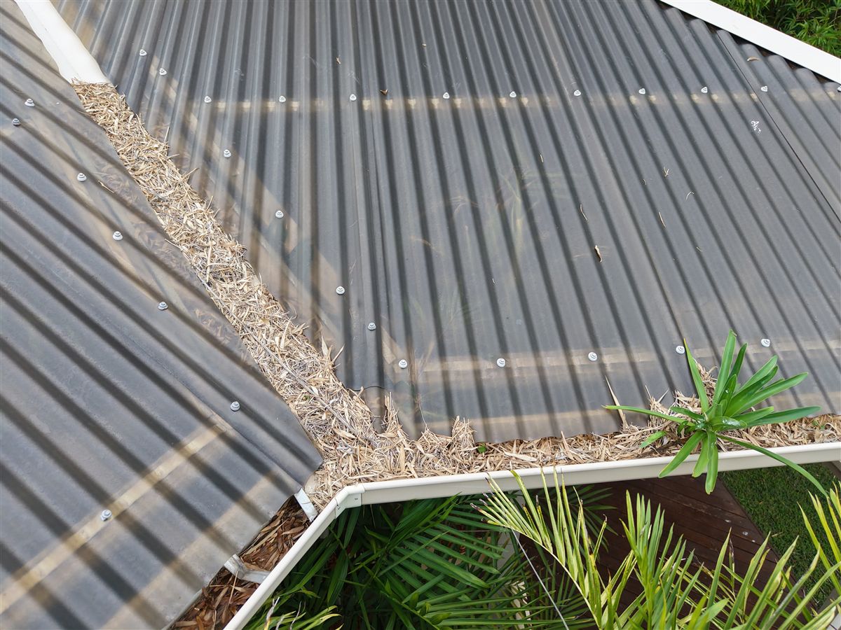 Palm debris packed in a roof valley in Mount Keira, before gutter guard