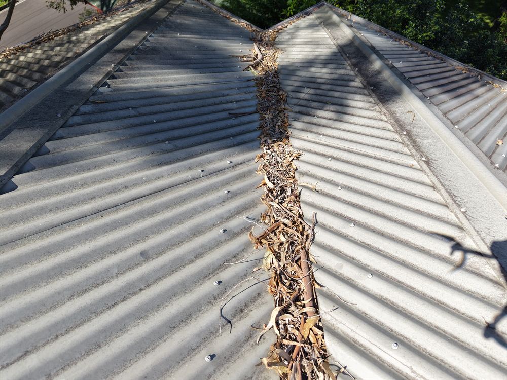 Gum leaves filling a roof valley in Mount Kembla, before gutter guard