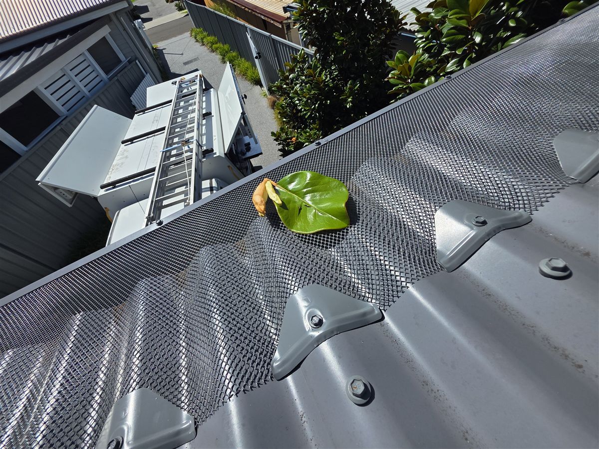 Leaf sitting on new aluminium gutter guard