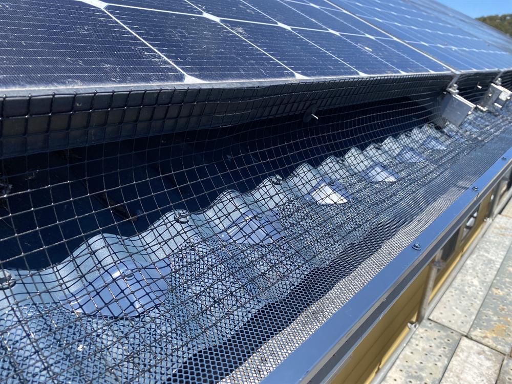Gutter guard plus wire mesh bird-proofing around solar panels