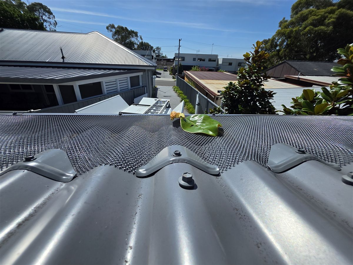 Leaf resting on top of newly fitted aluminium gutter guard