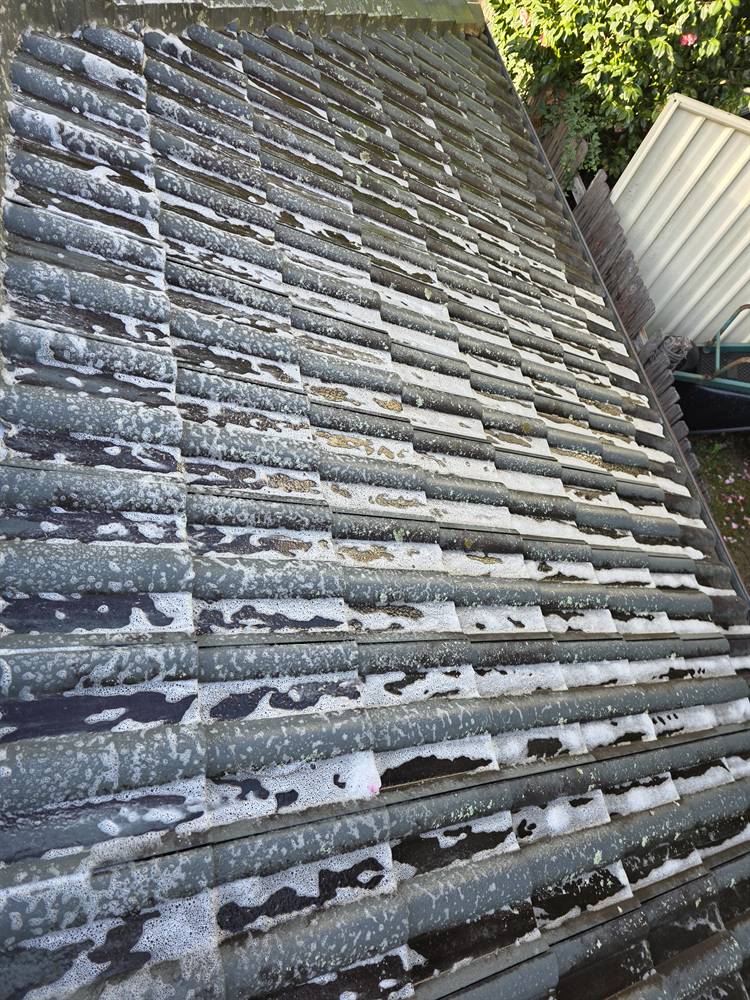 Roof treatment foam over lichen on a grey concrete tile roof