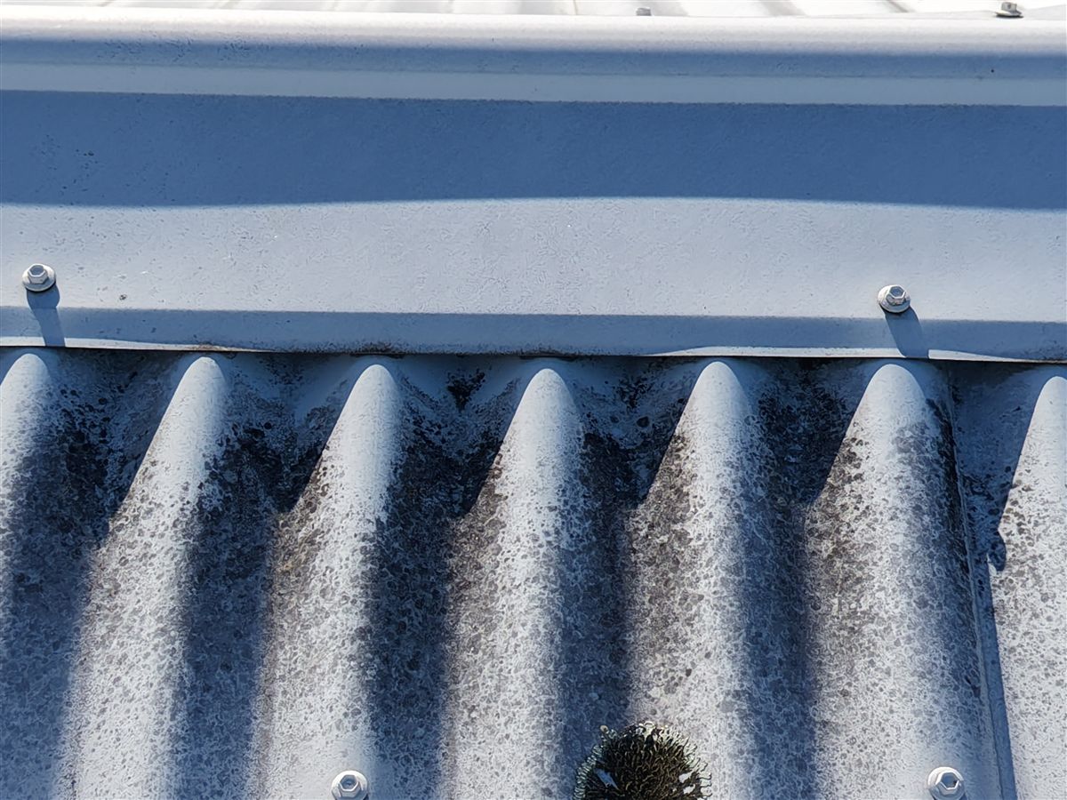 Black mould in roof corrugations in Wombarra