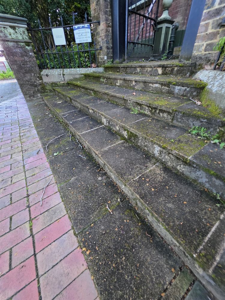 Moss and lichen on sandstone steps beside a brick path, before pressure cleaning