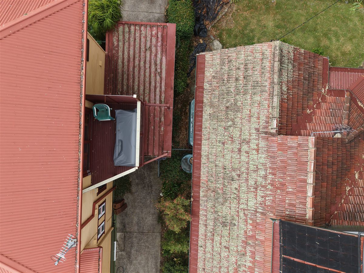 Lichen on a terracotta roof in Mangerton